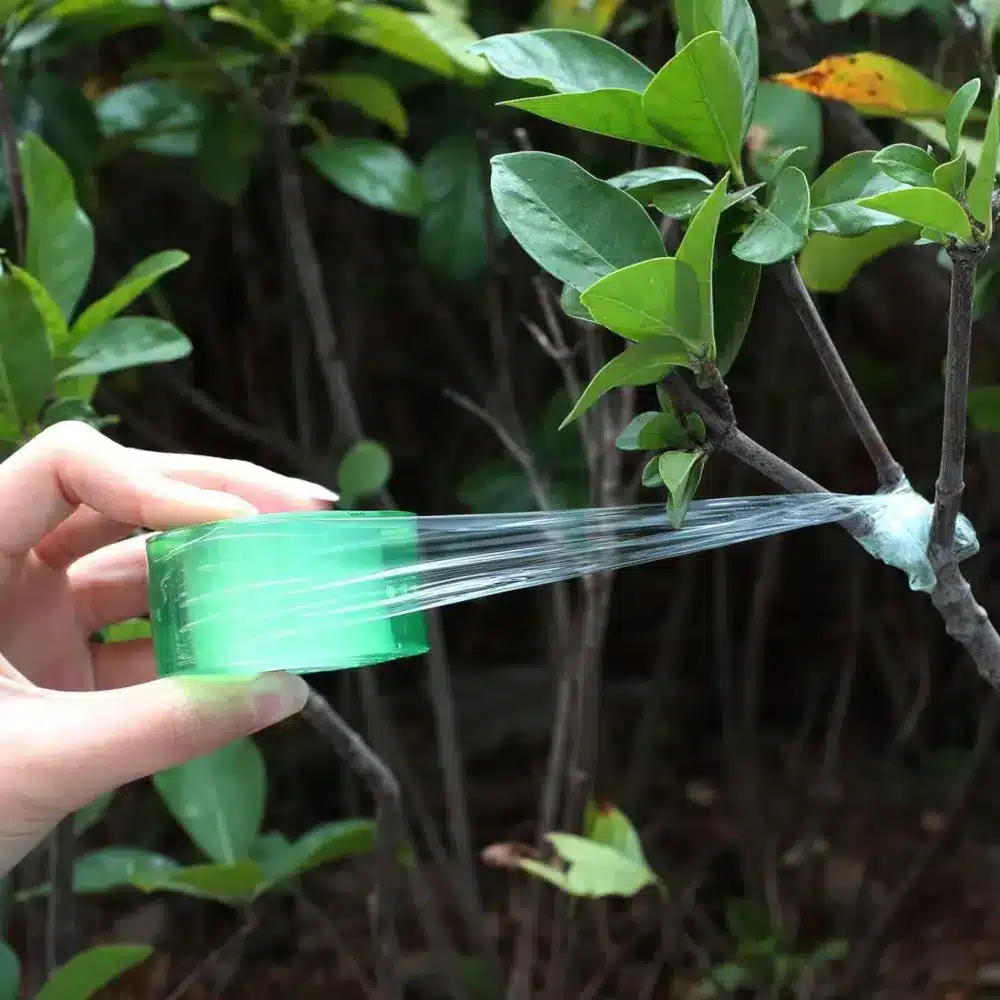 Sekator Do Szczepienia Okulizacji Drzew Krzewów Roślin - obrazek 6