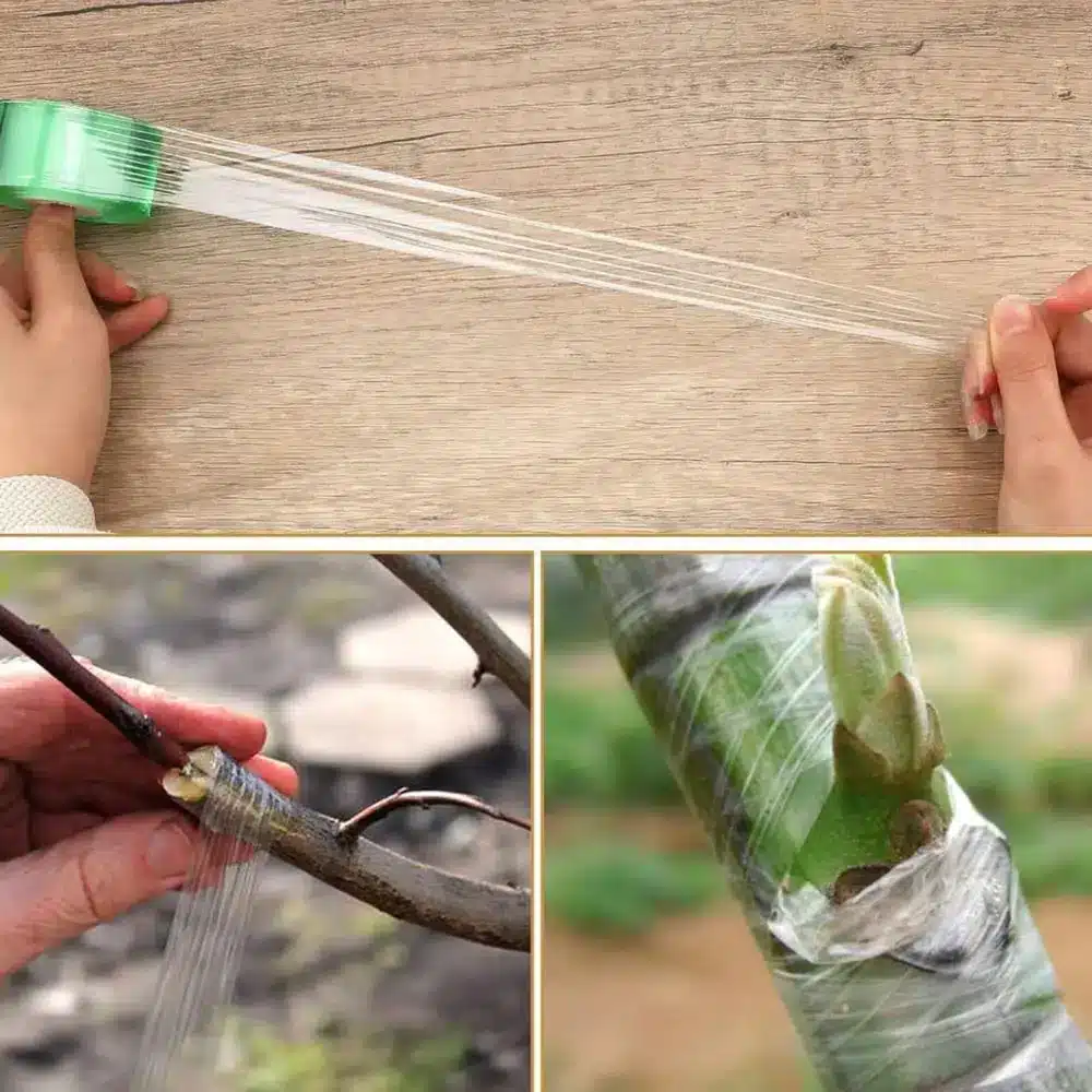 Sekator Do Szczepienia Okulizacji Drzew Krzewów Roślin - obrazek 8