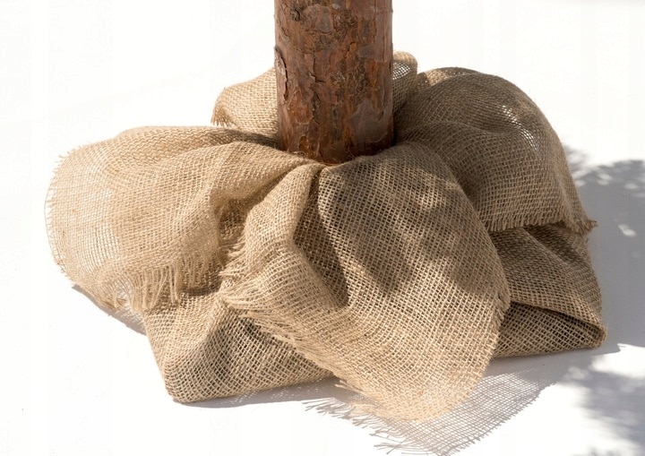 Choinka Na Pniu Sztuczna Sosna Diamentowa z Szyszkami 180cm - obrazek 7