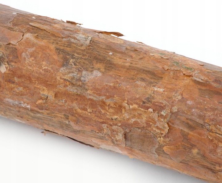 Choinka Na Pniu Sztuczna Sosna Diamentowa z Szyszkami 180cm - obrazek 8