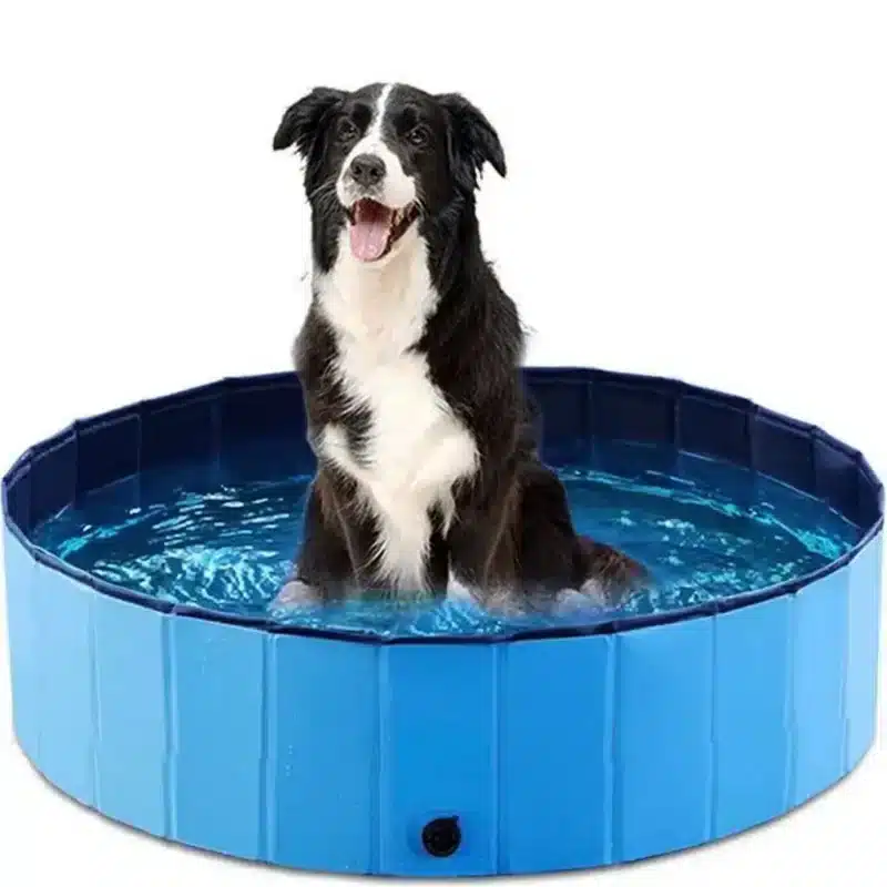 Basen Dla Psa i Zwierząt Ogrodowy 80x20cm - obrazek 2