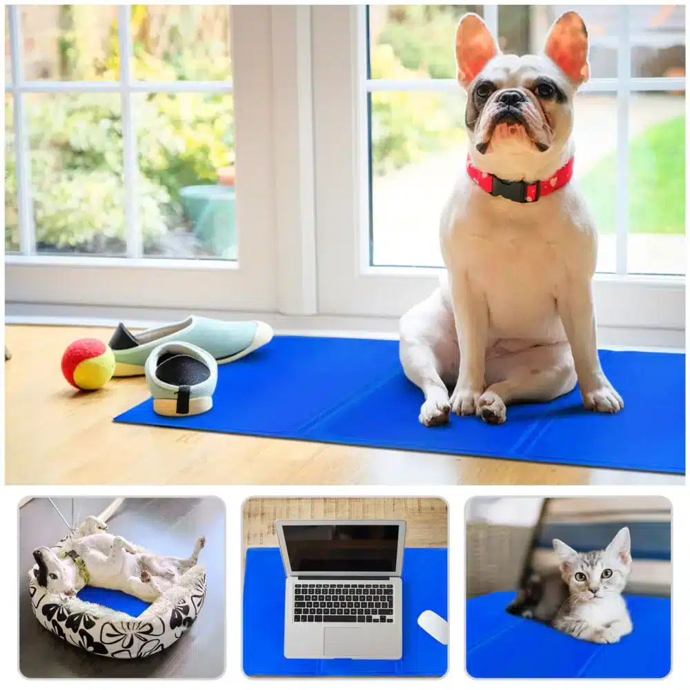 Mata Chłodząca Żelowa Dla Psa Niebieska 90x50cm - obrazek 6