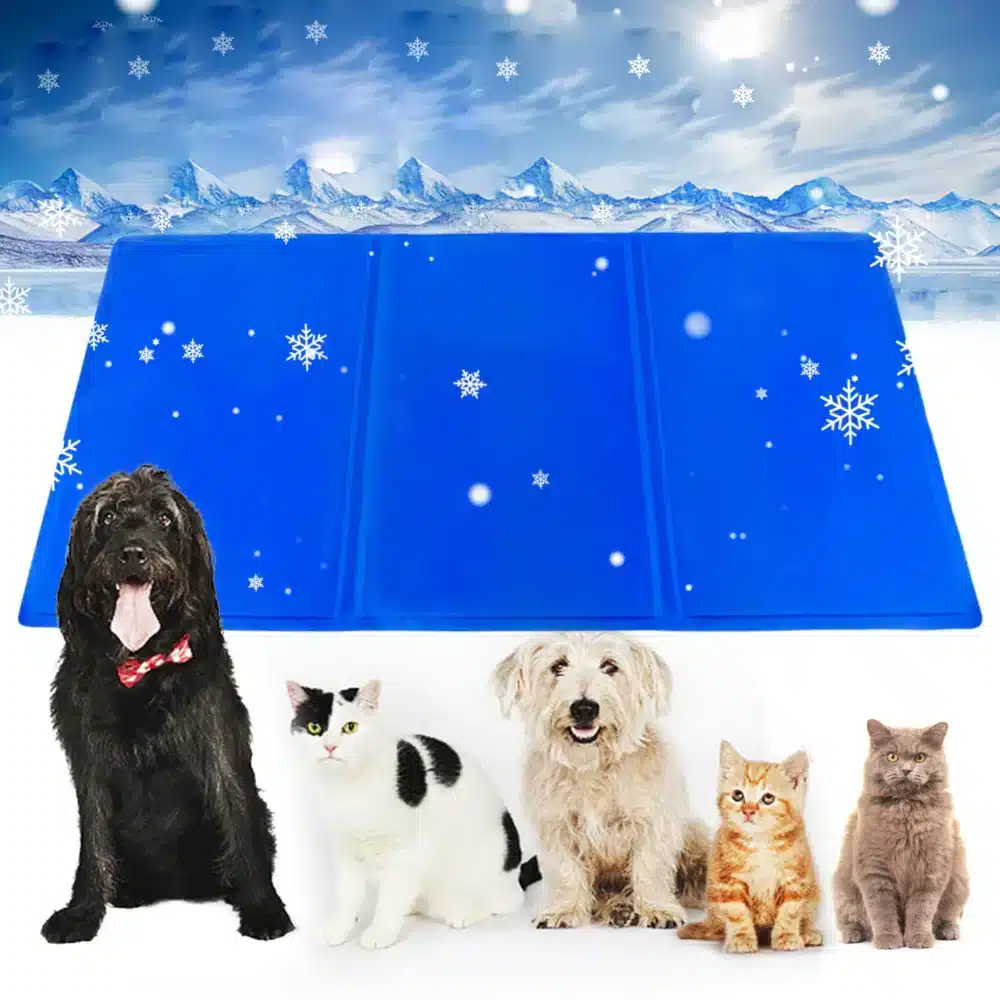 Mata Chłodząca Żelowa Dla Psa Niebieska 90x50cm - obrazek 4