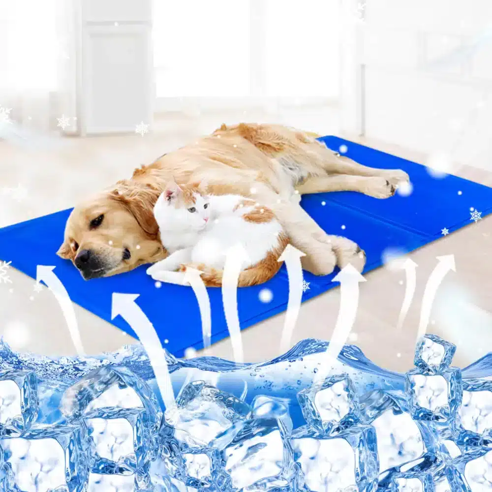 Mata Chłodząca Żelowa Dla Psa Niebieska 90x50cm - obrazek 7
