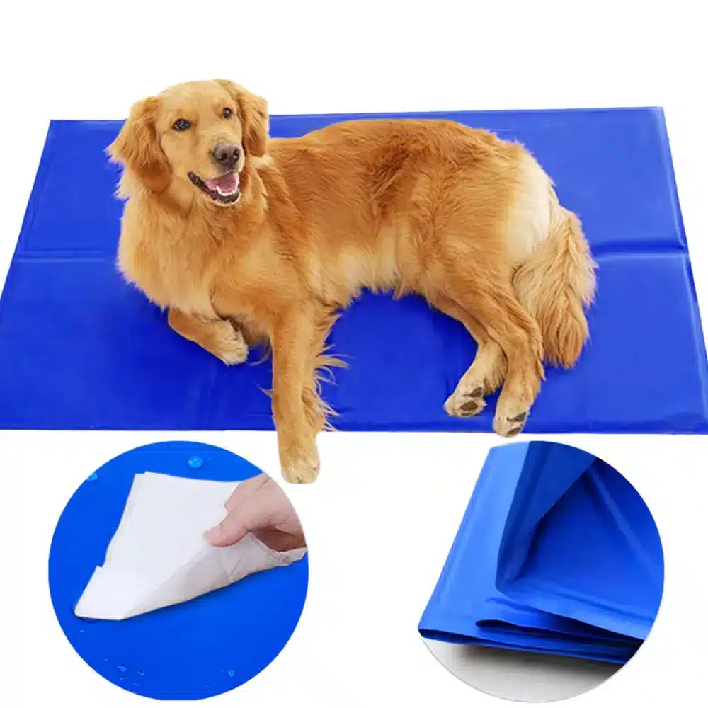 Mata Chłodząca Żelowa Dla Psa Niebieska 90x50cm