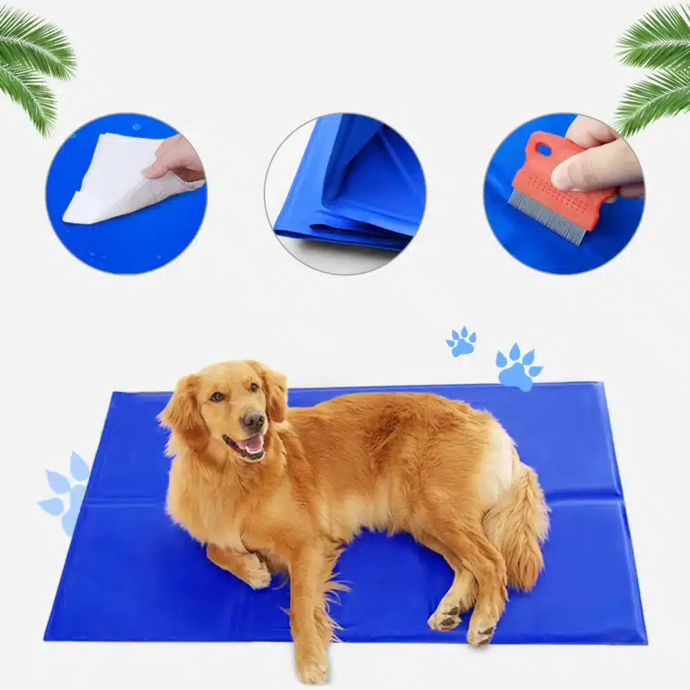 Mata Chłodząca Żelowa Dla Psa Niebieska 90x50cm - obrazek 3