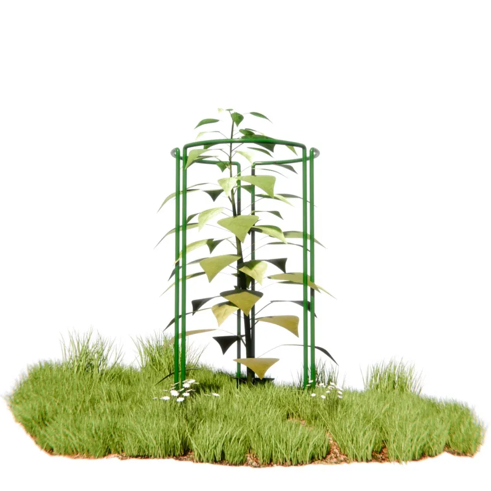 Podpora Pierścieniowa Do Roślin 25x45cm 3 Sztuki - obrazek 10