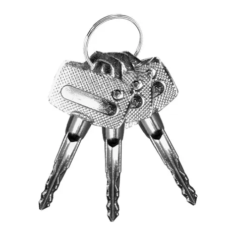 Sejf Domowy Na Klucz 23x17cm - obrazek 7