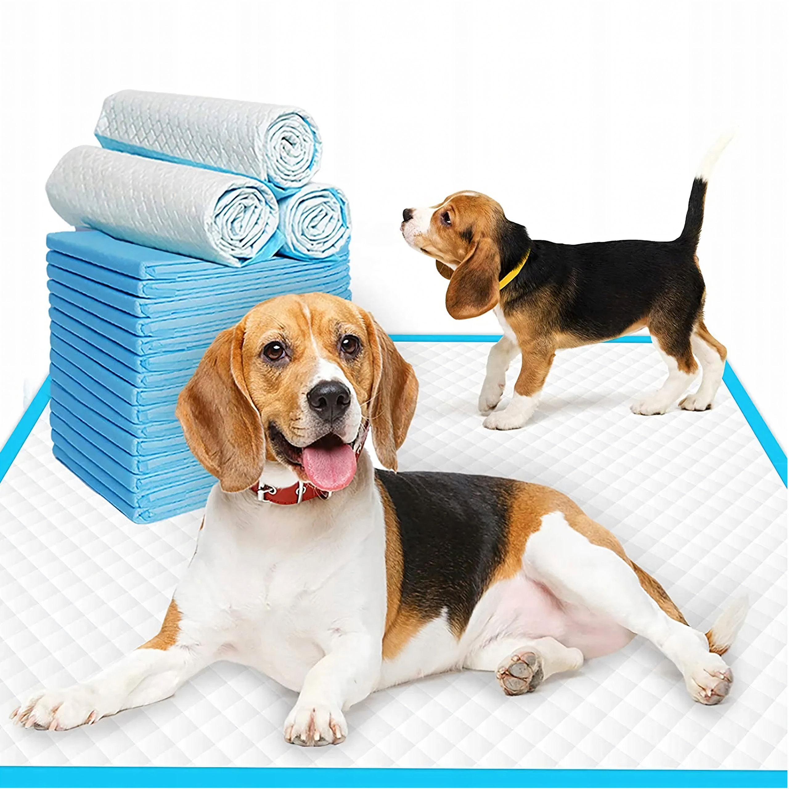 Podkłady higieniczne dla psa z dwoma beagle’ami i stosem mat higienicznych