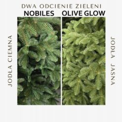 Porównanie odcieni igliwia sztucznej choinki: Nobiles i Olive Glow