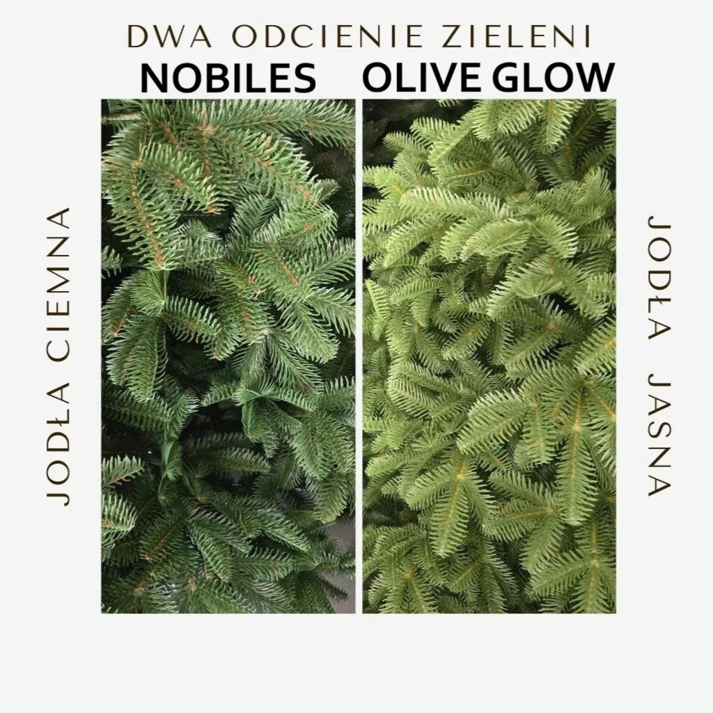Porównanie odcieni igliwia sztucznej choinki: Nobiles i Olive Glow
